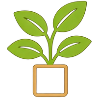 Eco-conscious practices
